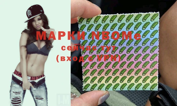 ГАЛЛЮЦИНОГЕННЫЕ ГРИБЫ Вязьма