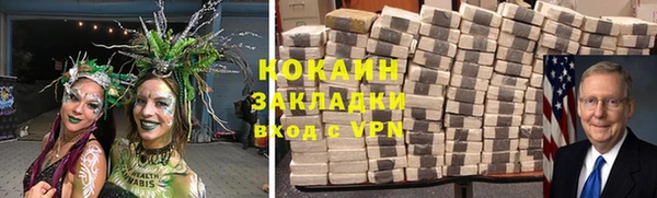 ГАЛЛЮЦИНОГЕННЫЕ ГРИБЫ Вязьма