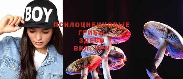 MESCALINE Вяземский